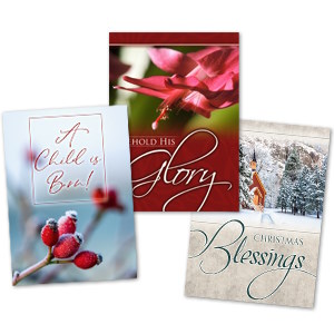 Christmas Card Variety Carton