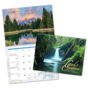 Wall Calendar - NIV