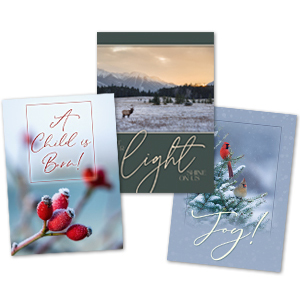 Christmas Card Variety Carton