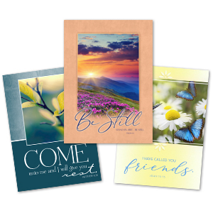 Greeting Card Variety Carton